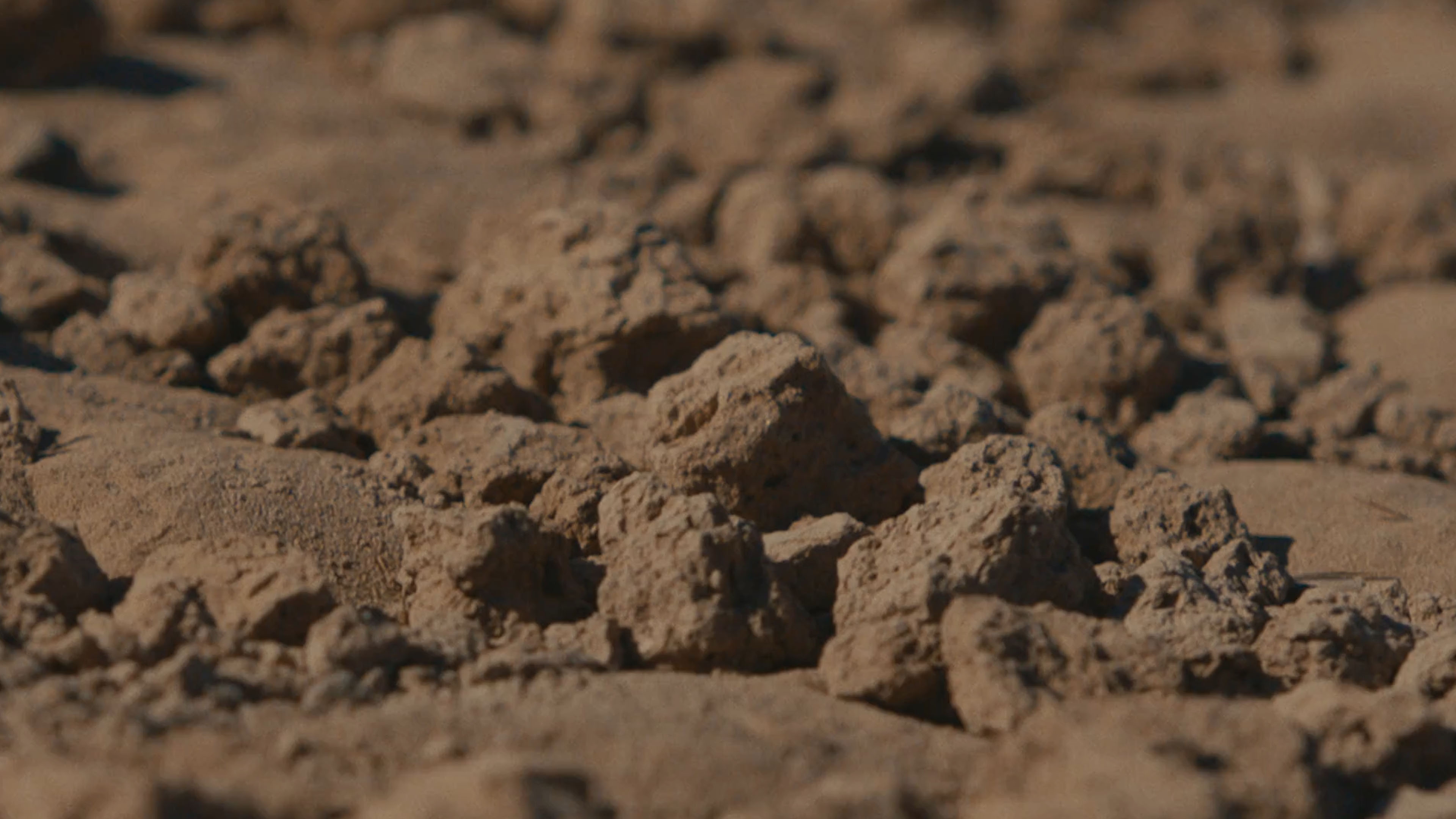 Poster Unseen Footage of Worldwide Music Talent